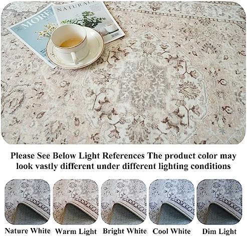 4x10 Hallway Wide Runner Rug: Washable Oriental Soft Area Rug for Living Room Bedroom Stain Resistant Low Pile Carpet for Entryway Ktichen Thin Non Slip Floor Mat for Bathroom Dining Room(Beige,4x10)