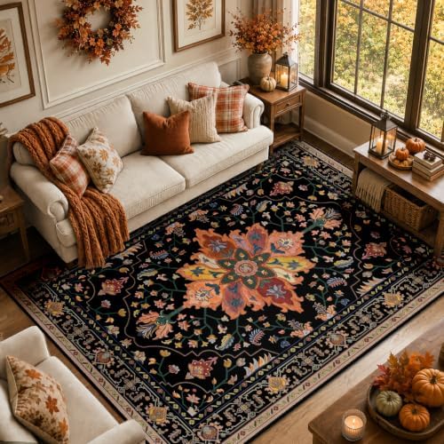 RELEANY Washable Area Rug, 8'x10', Black/Colorful